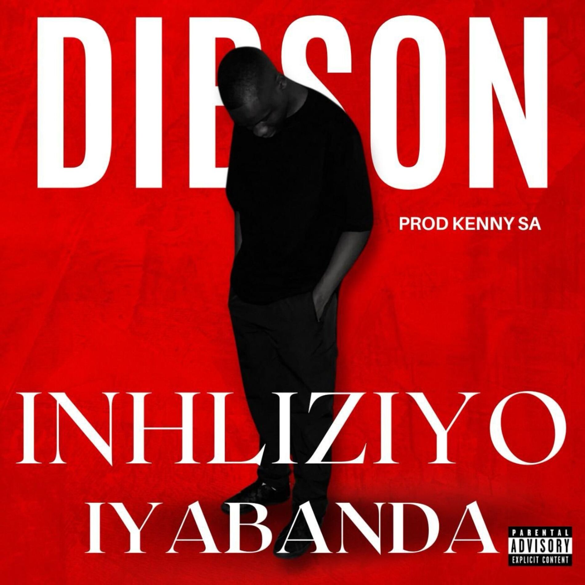Album cover of Inhliziyo Iyabanda