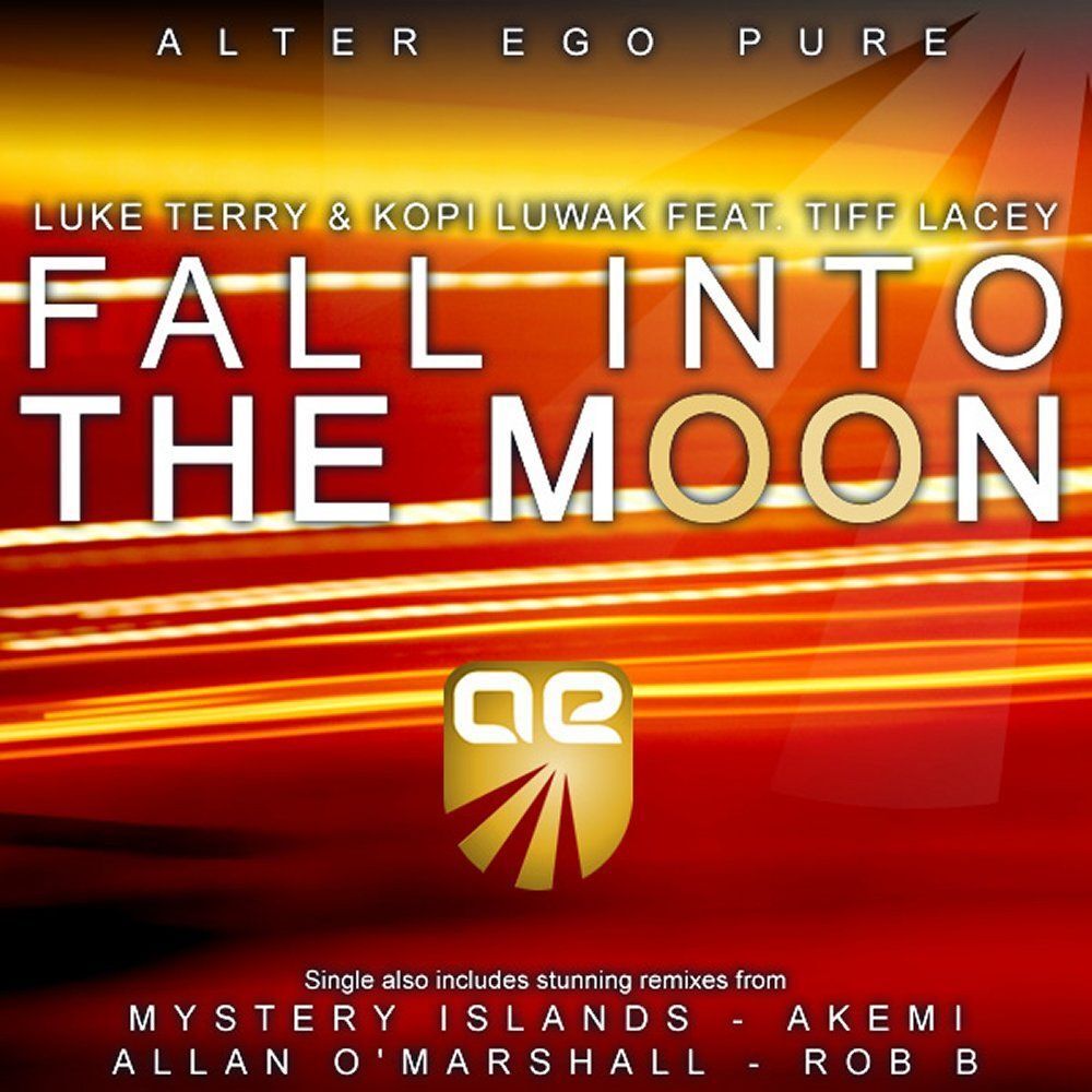 Picture of Fall Into The Moon