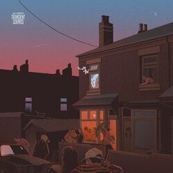 Cover of Transient Sounds