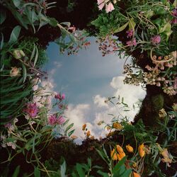 Cover of Portals