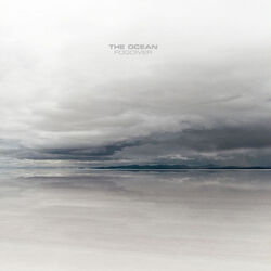 Cover of Fogdiver