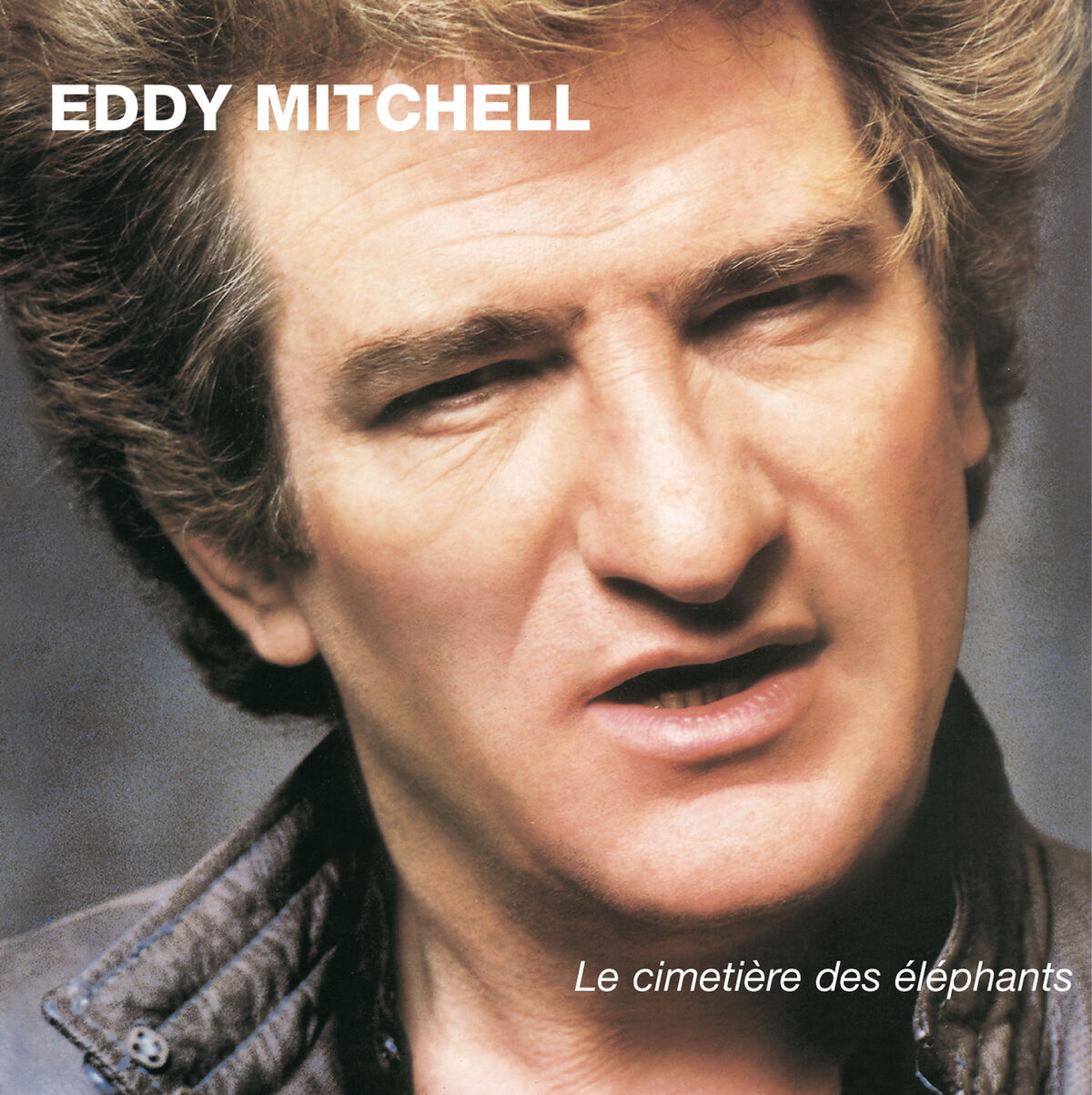 Album cover of Le cimetière des éléphants