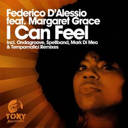 Cover of I Can Feel