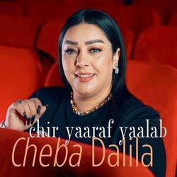Cover of chir yaaraf yaalab