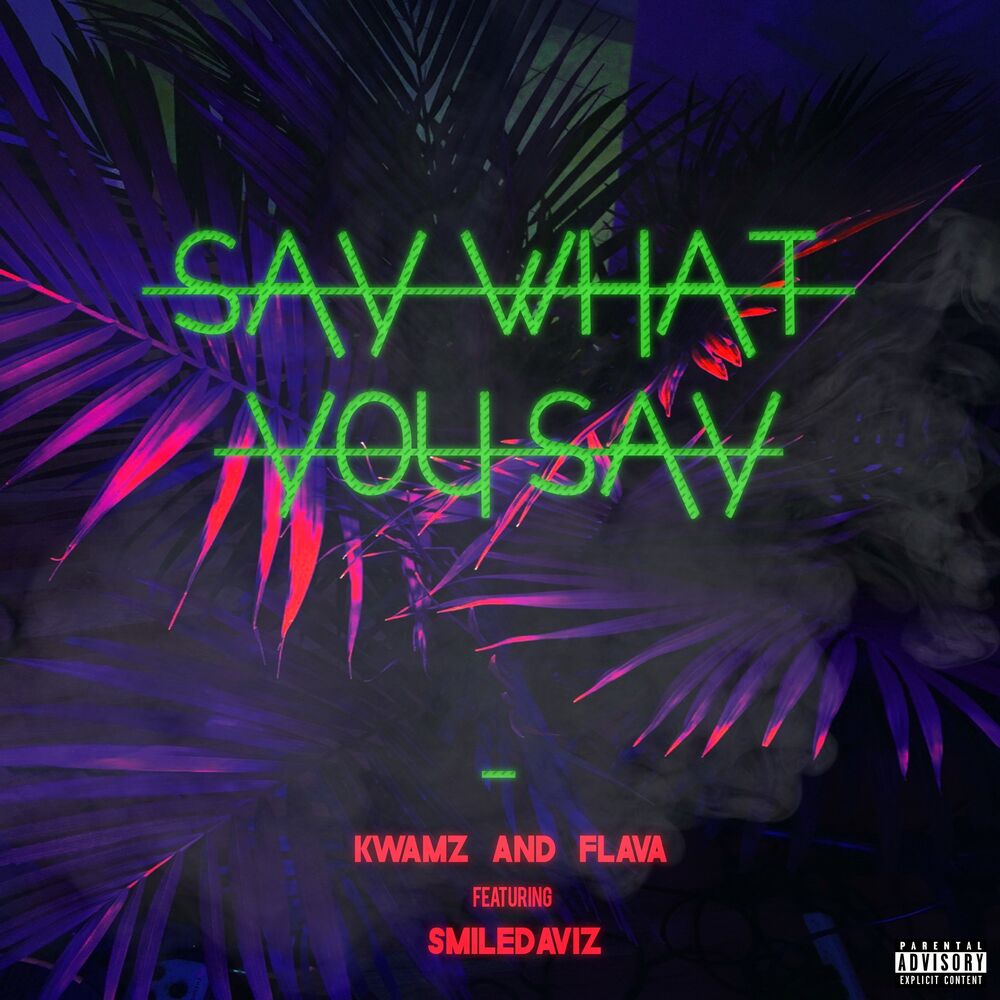 Picture of Say What You Say