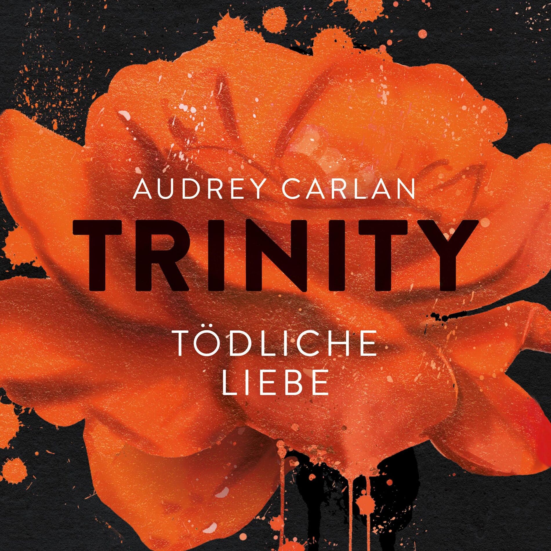 Album cover of Trinity - Tödliche Liebe (Die Trinity-Serie 3)