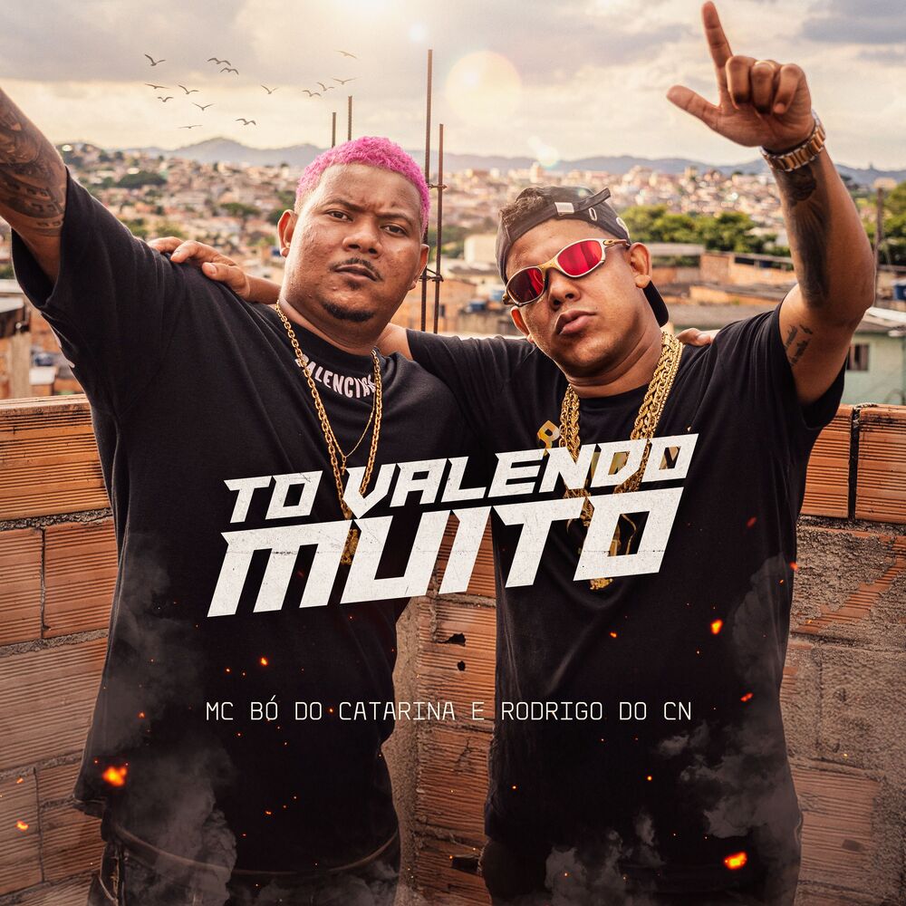 Picture of To Valendo Muito