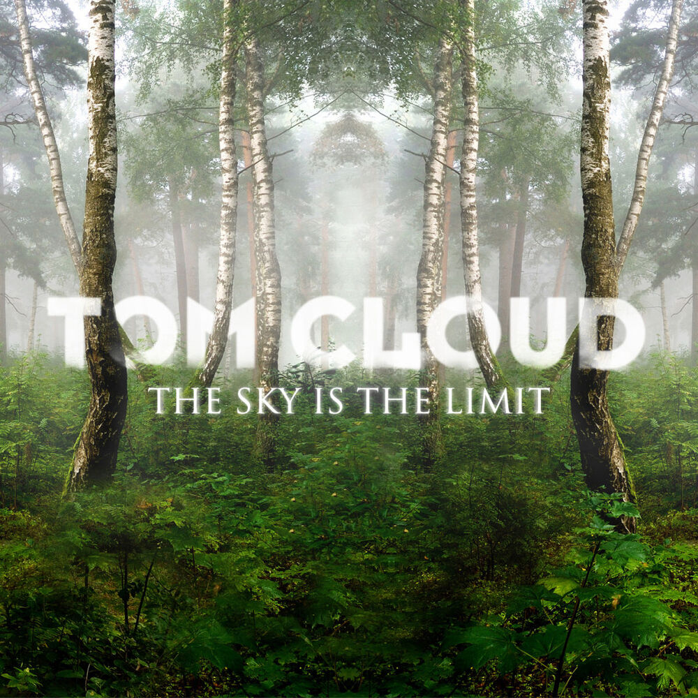 Picture of The Sky Is the Limit