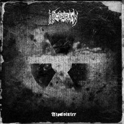 Cover of Atomvinter