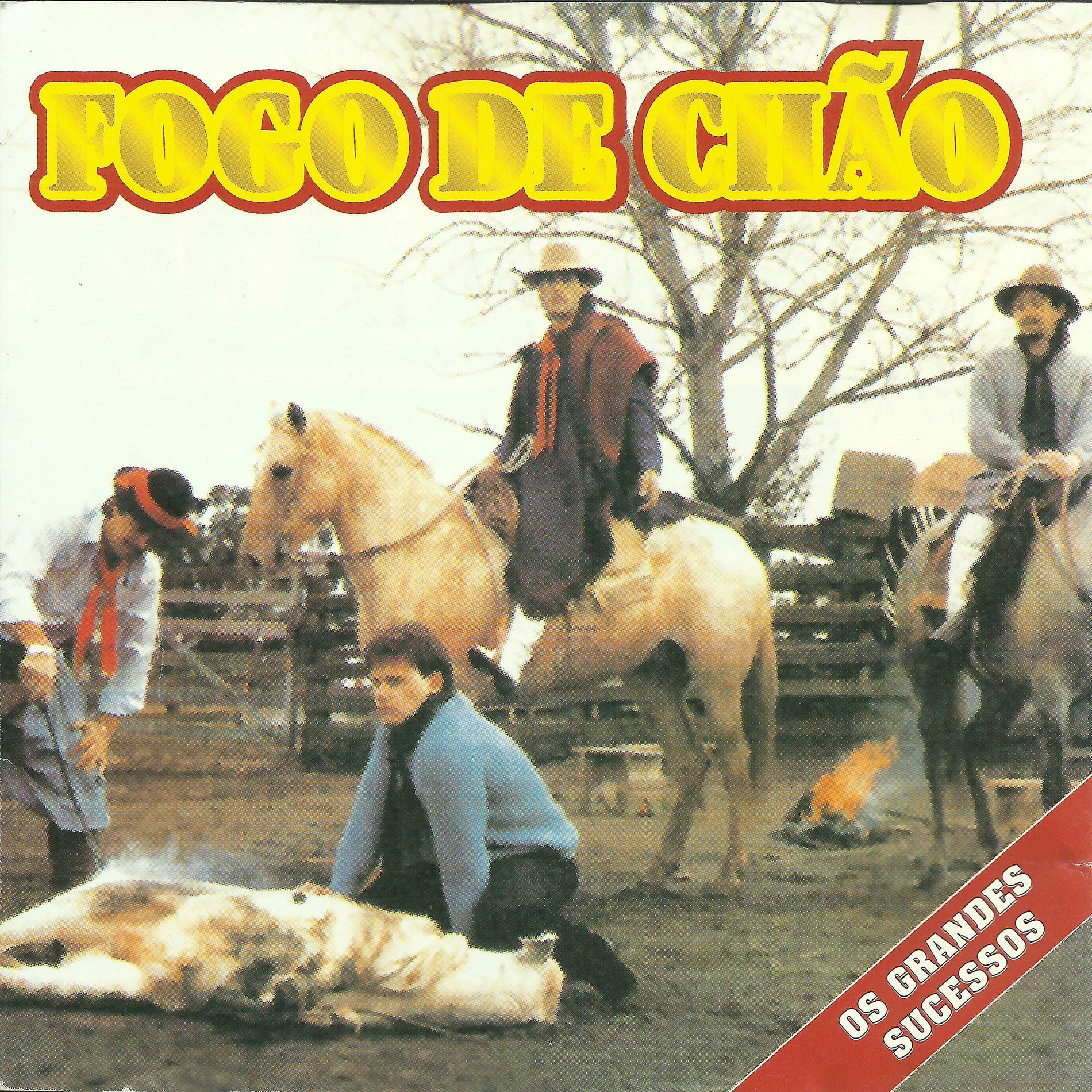 Album cover of Os Grandes Sucessos