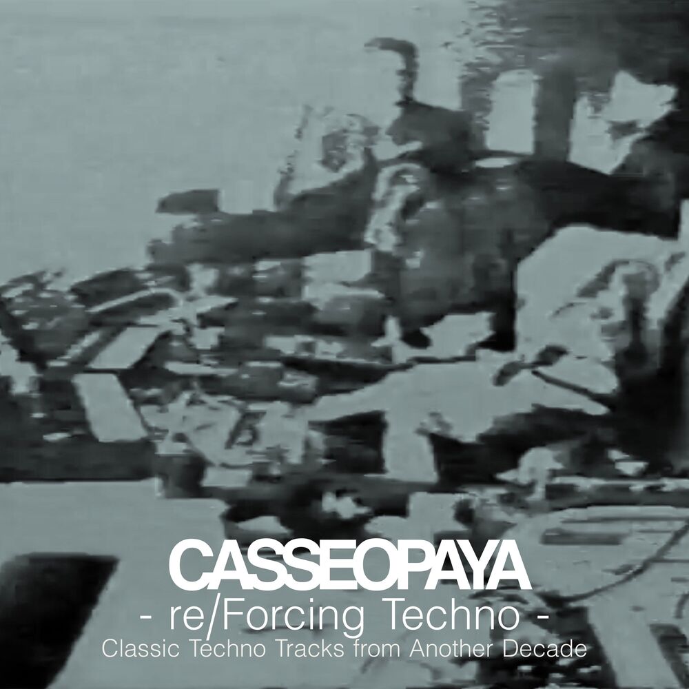 Picture of Re/Forcing Techno