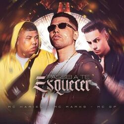 Cover of Passei a Te Esquecer