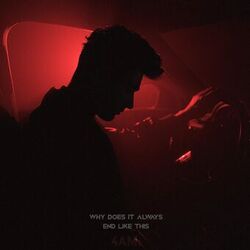 Cover of why does it always end like this