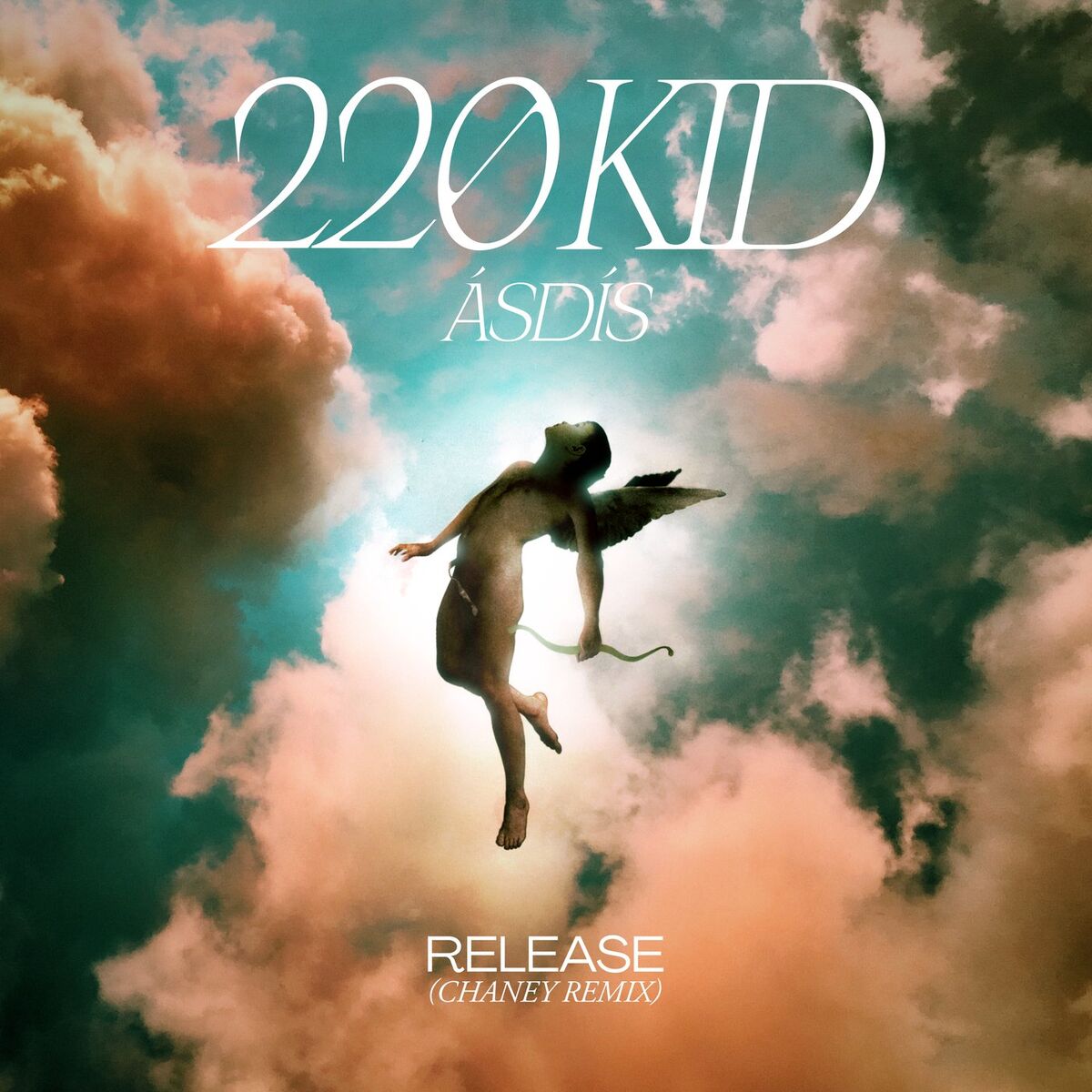 Album cover of Release (CHANEY Remix)