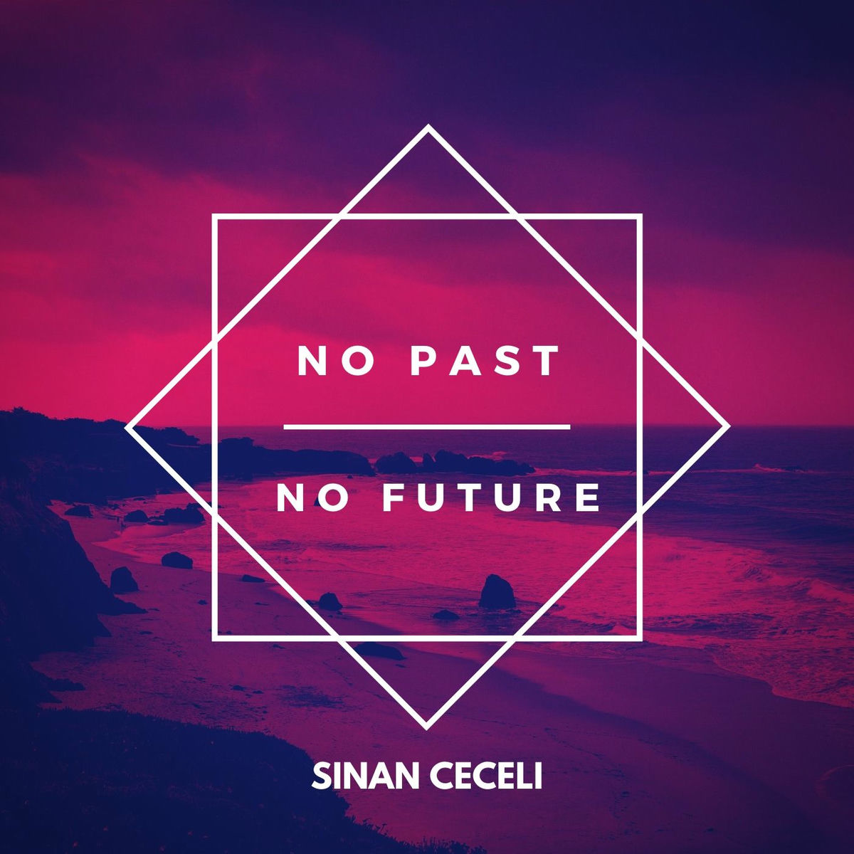 Album cover of No Past No Future