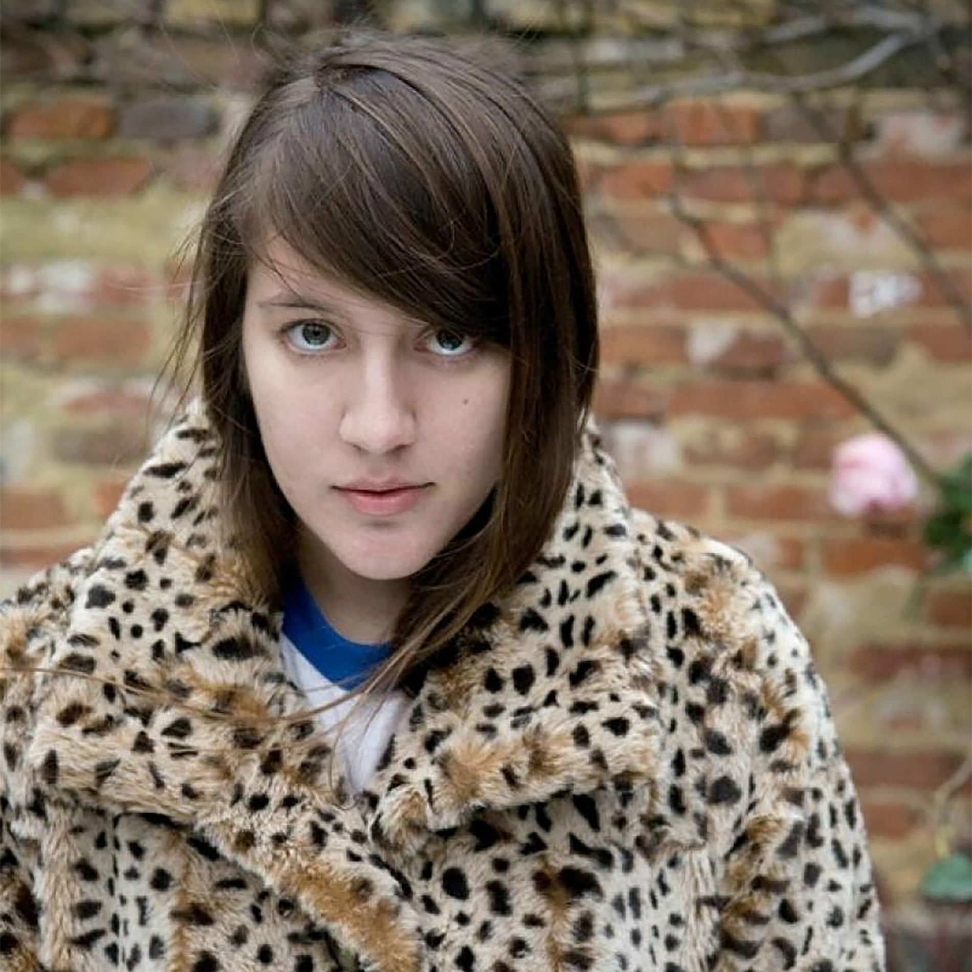 Album cover of For The Rabbits (BBC Session)