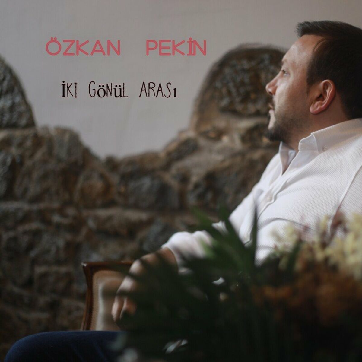 Album cover of İki Gönül Arası