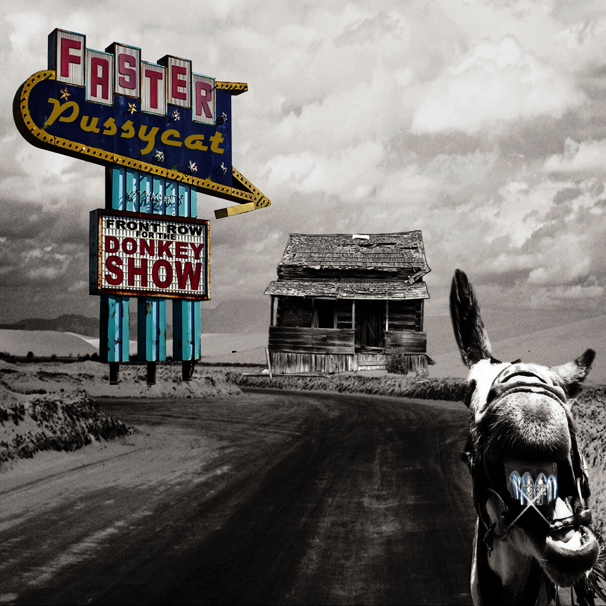 Album cover of Front Row For The Donkey Show - Live