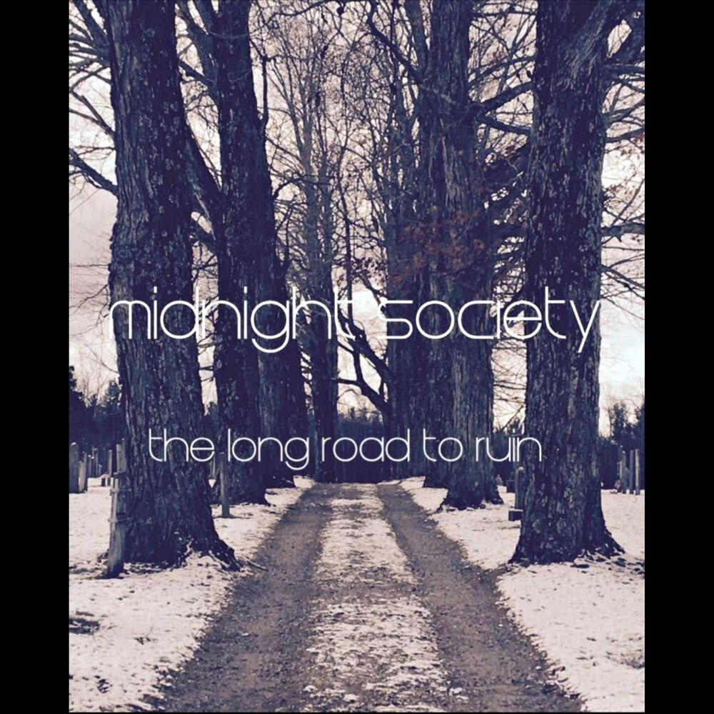 Picture of The Long Road to Ruin