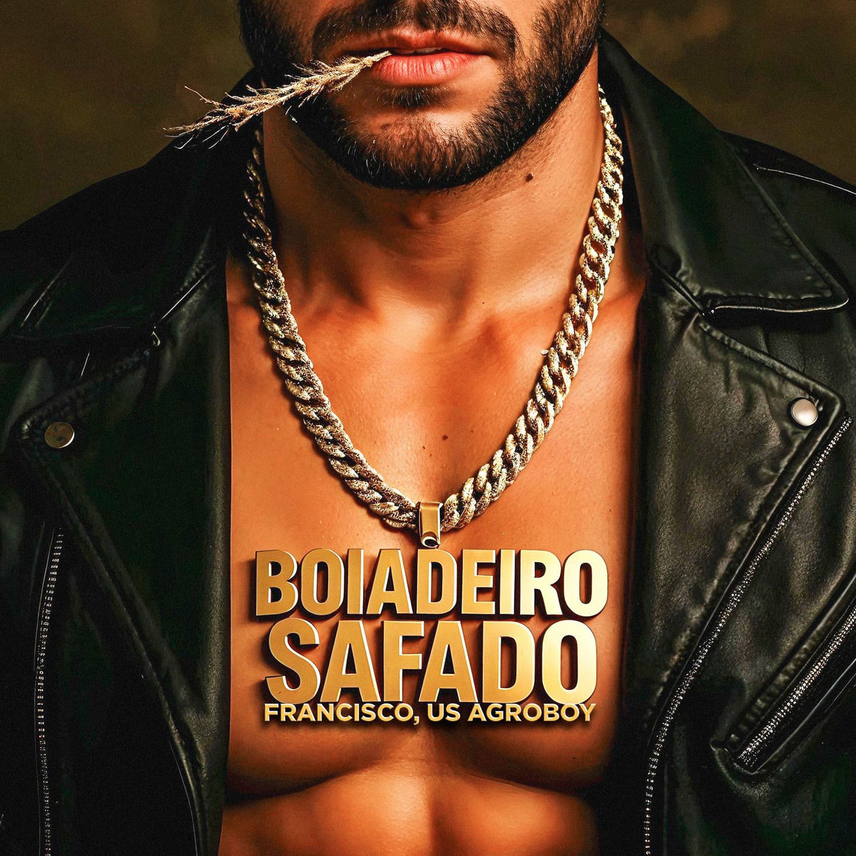 Album cover of Boiadeiro Safado