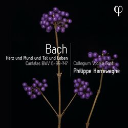 Cover of Herz und Mund und Tat und Leben - Bach: Cantatas BWV 6-99-147