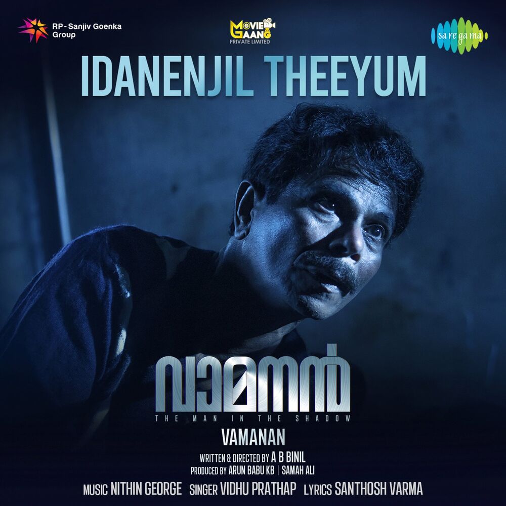 Picture of Idanenjil Theeyum (From "Vamanan") - Single