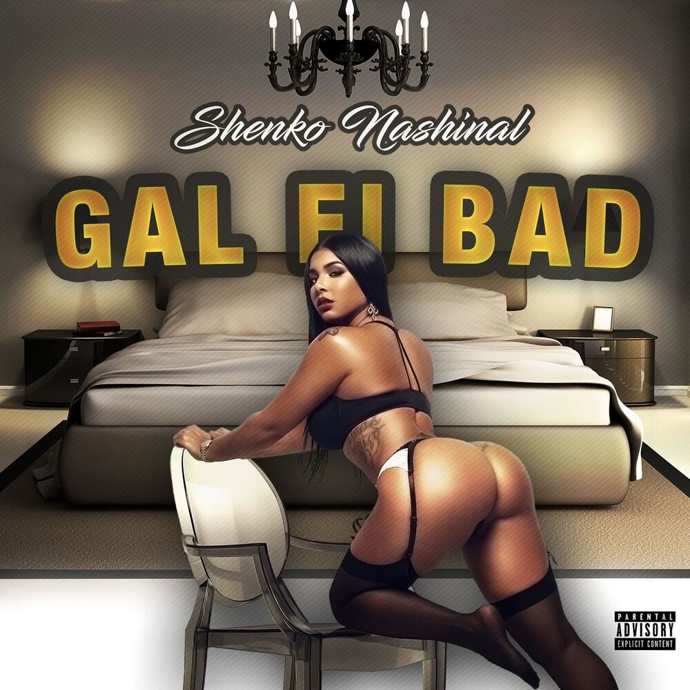 Picture of Gal Fi Bad