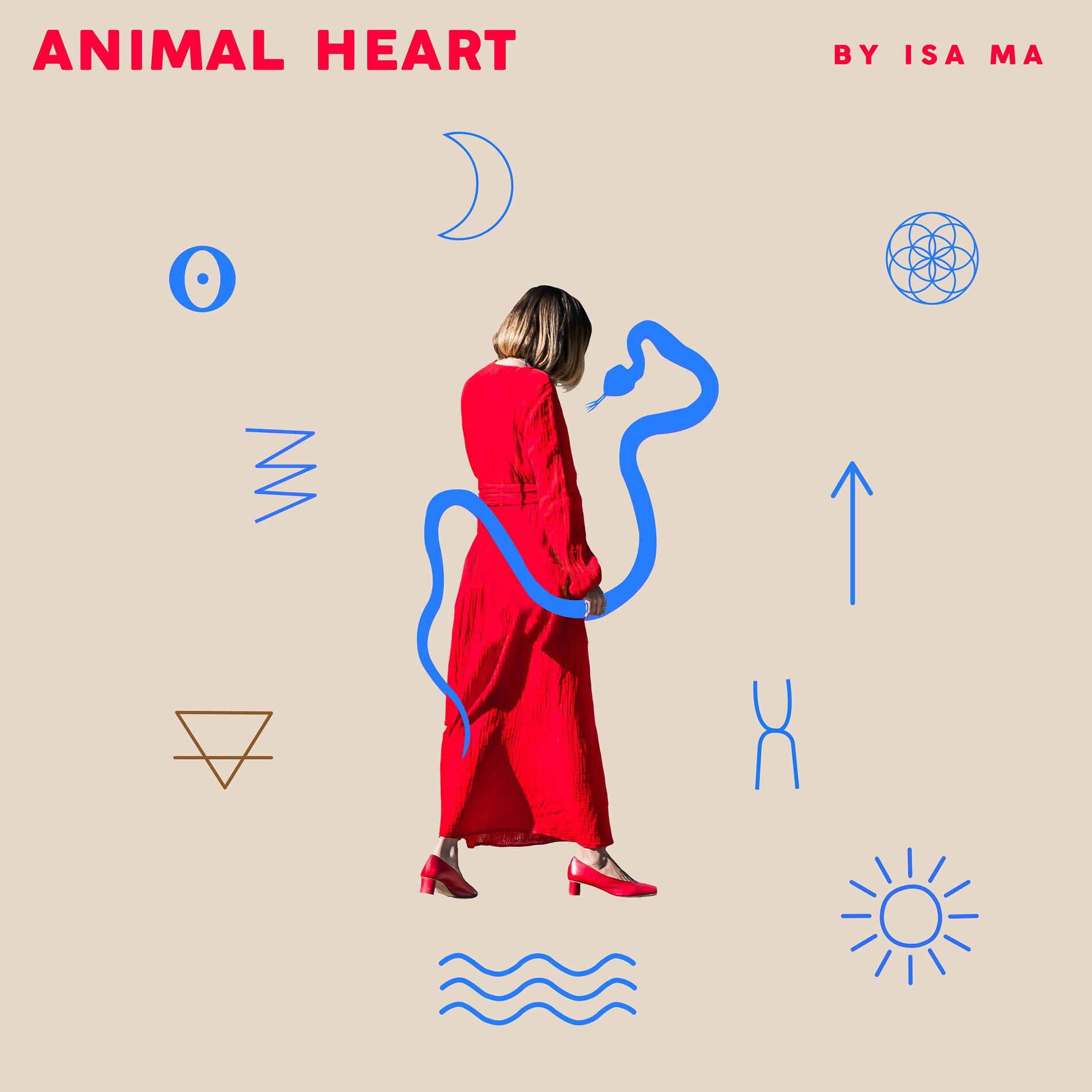 Album cover of Animal Heart