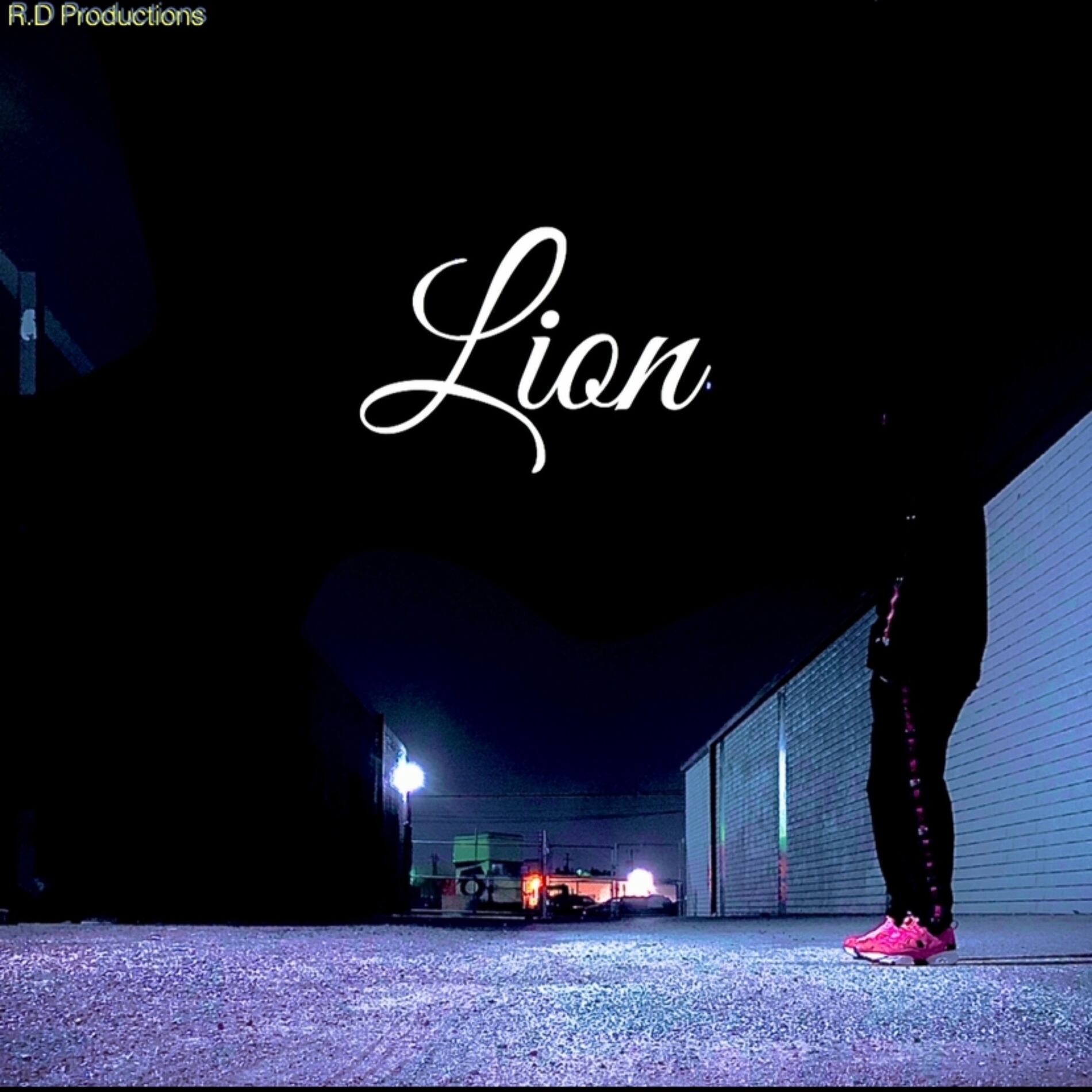 Album cover of Lion