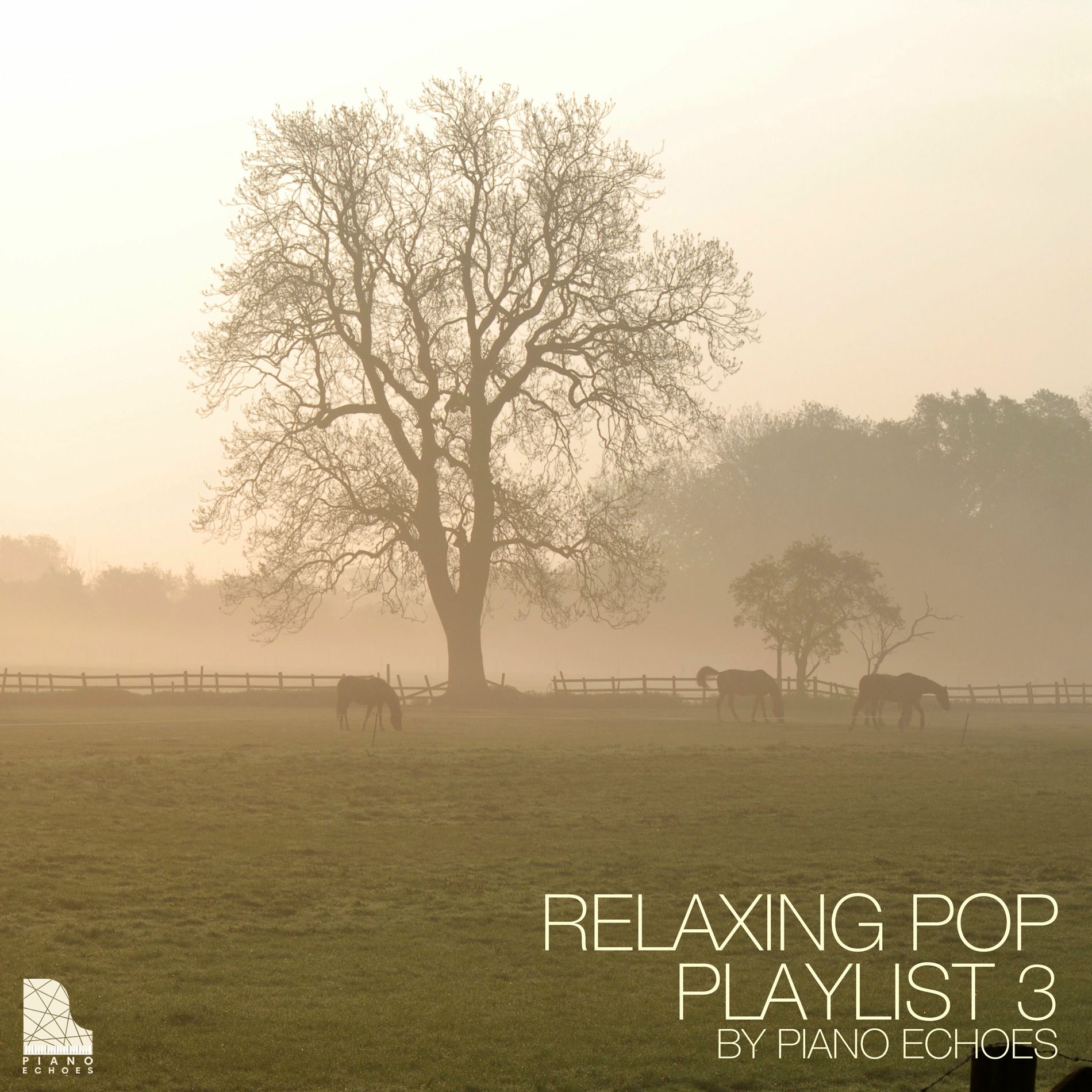 Album cover of Like A Star