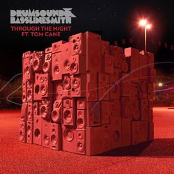 Cover of Through The Night