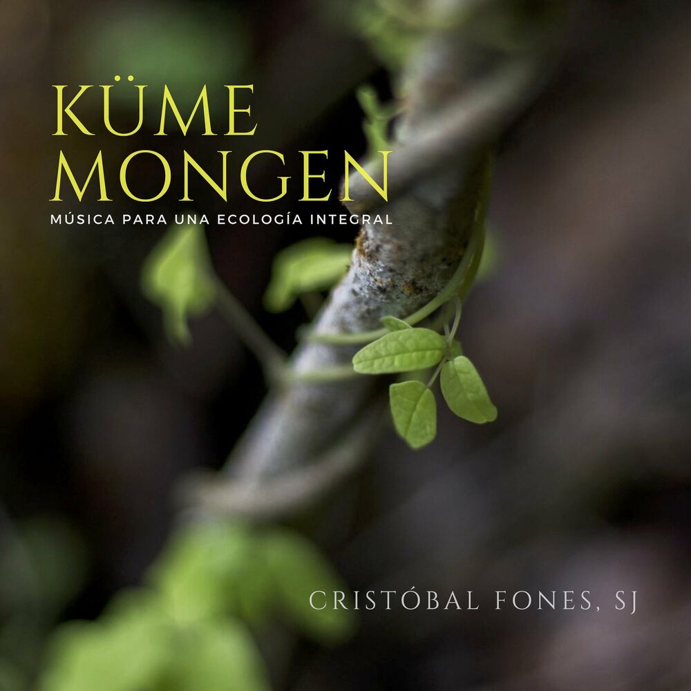 Picture of Küme Mongen