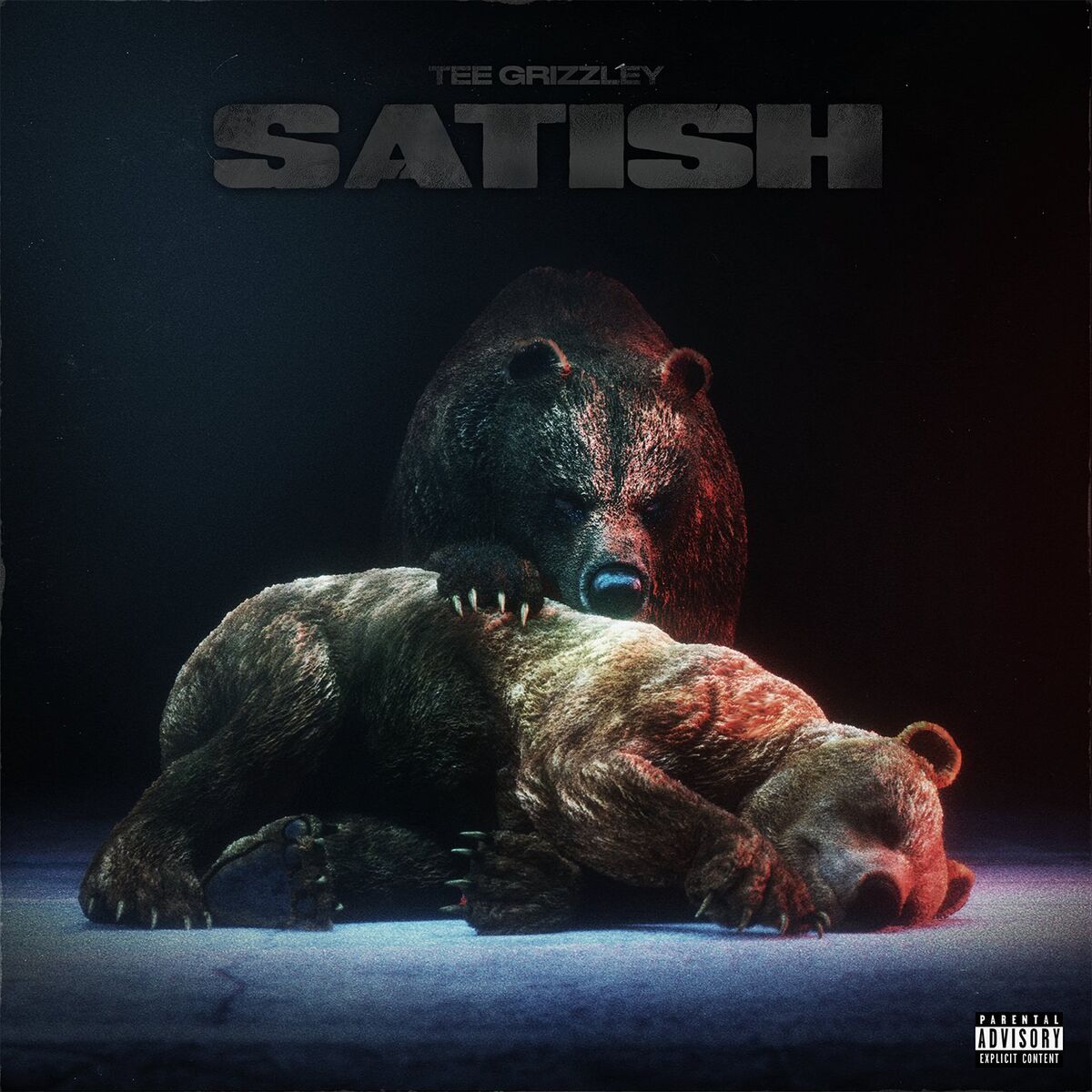 Album cover of Satish