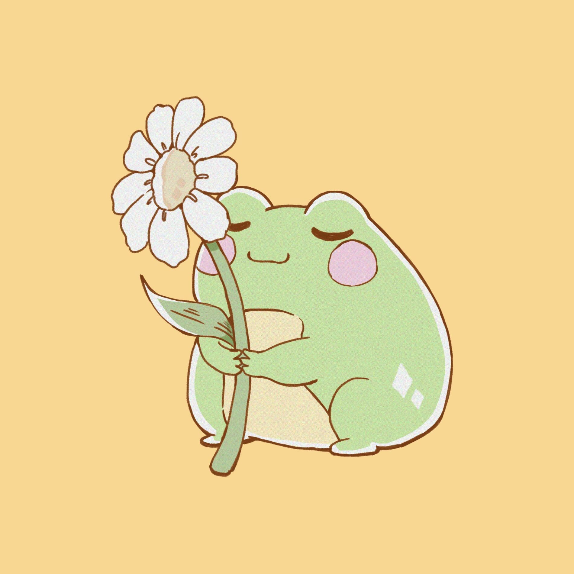 Album cover of Frog
