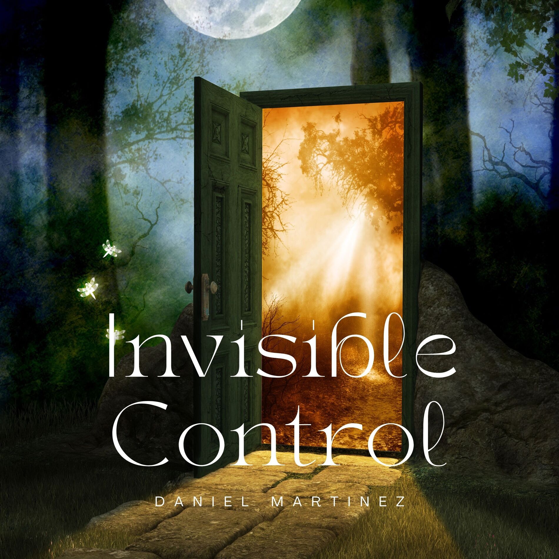 Album cover of Invisible Control
