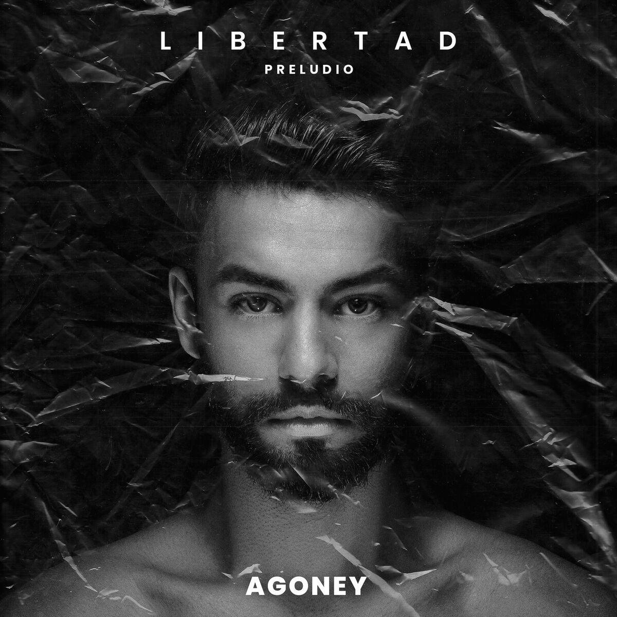 Album cover of Libertad
