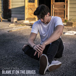 Cover of Blame It on the Drugs