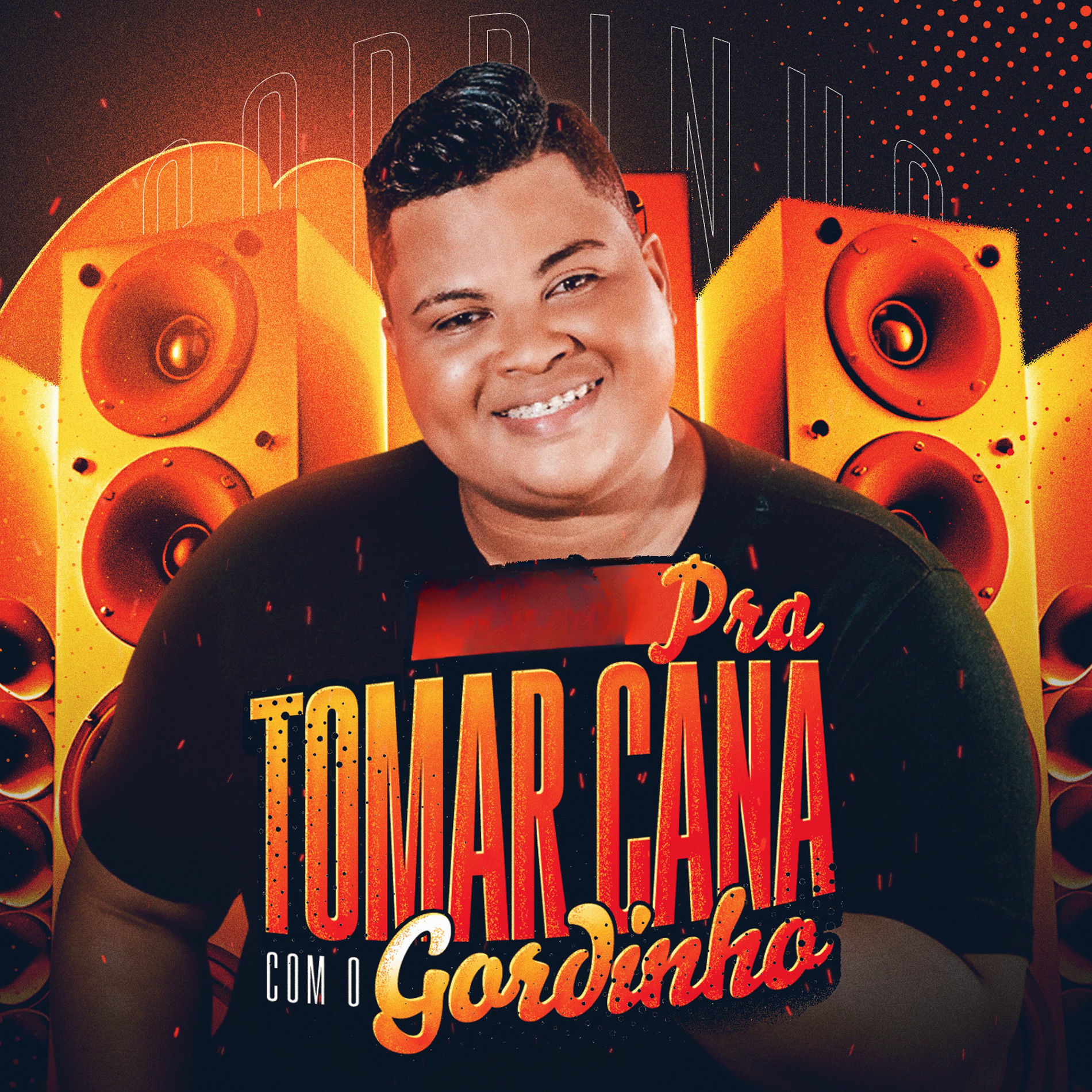 Album cover of Pra Tomar Cana Com o Gordinho
