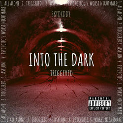 Pochette album