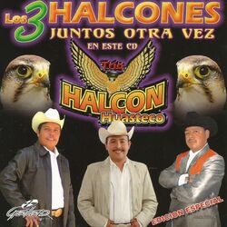 Cover of Los 3 Halcones Juntos Otra Vez