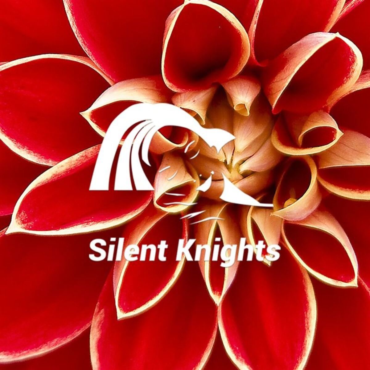 Album cover of Womb Sounds Repeat