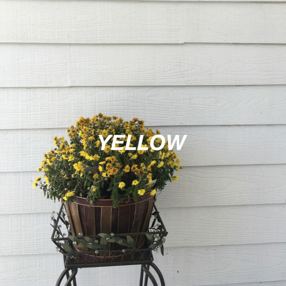 Picture of Yellow