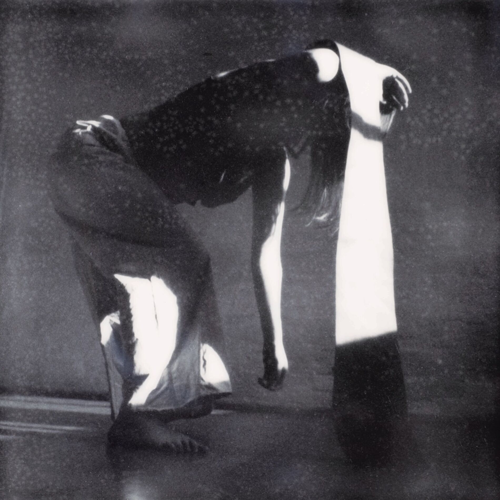 Album cover of Sepula Purm