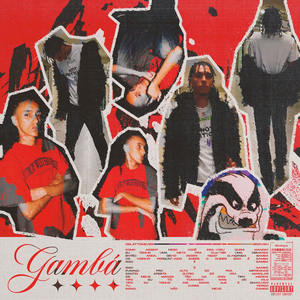Picture of Gambá