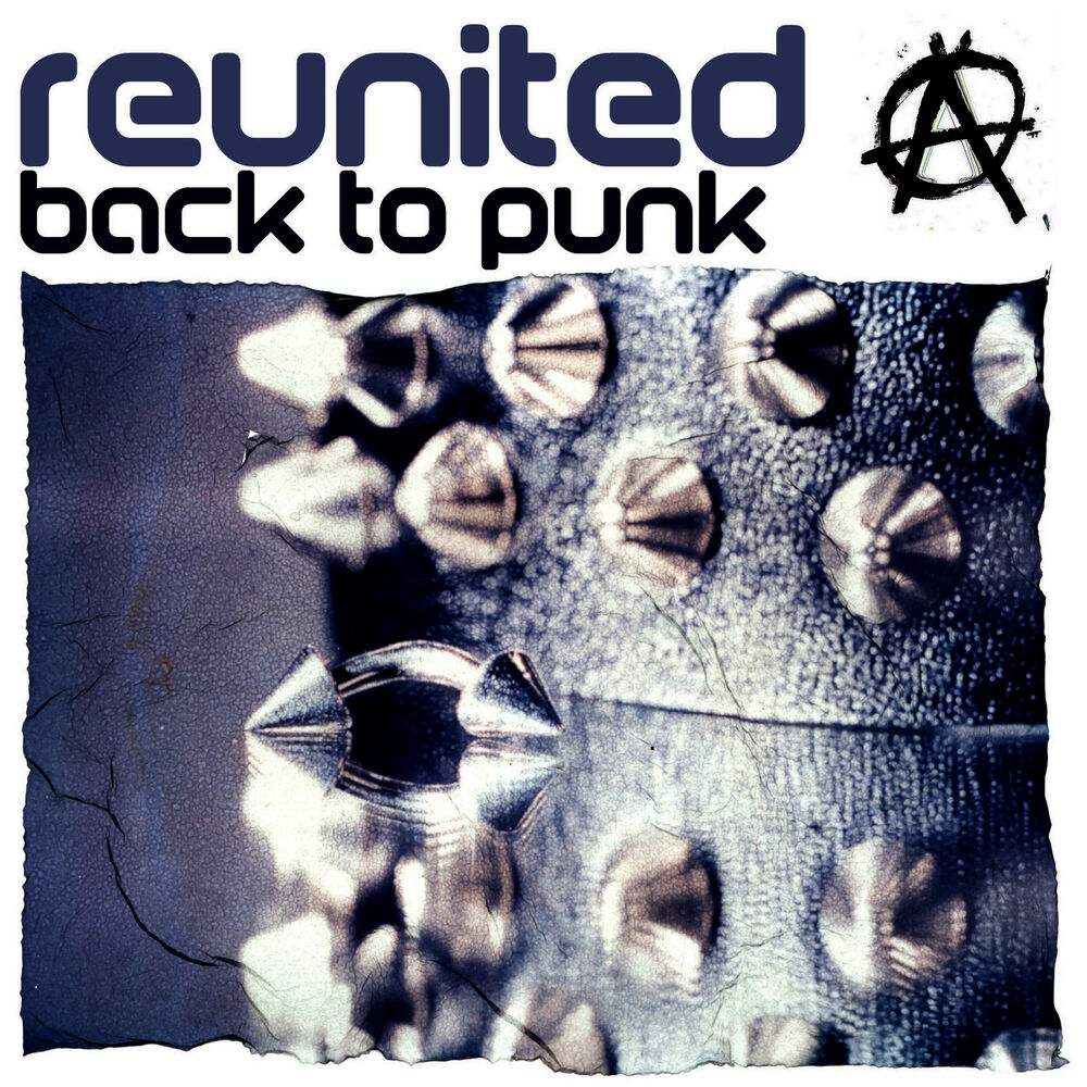 Picture of Back To Punk