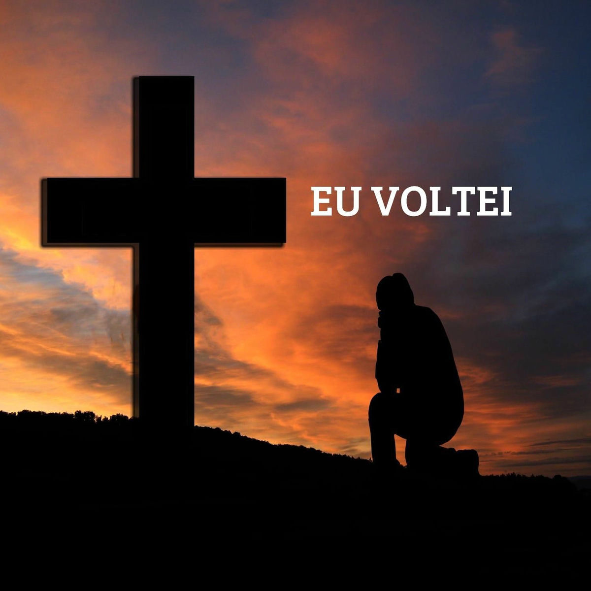 Album cover of EU VOLTEI