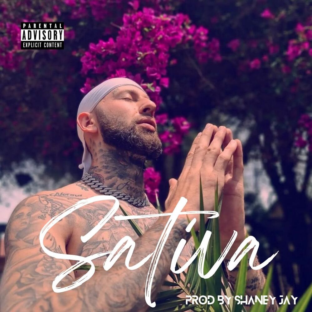 Picture of SATIVA