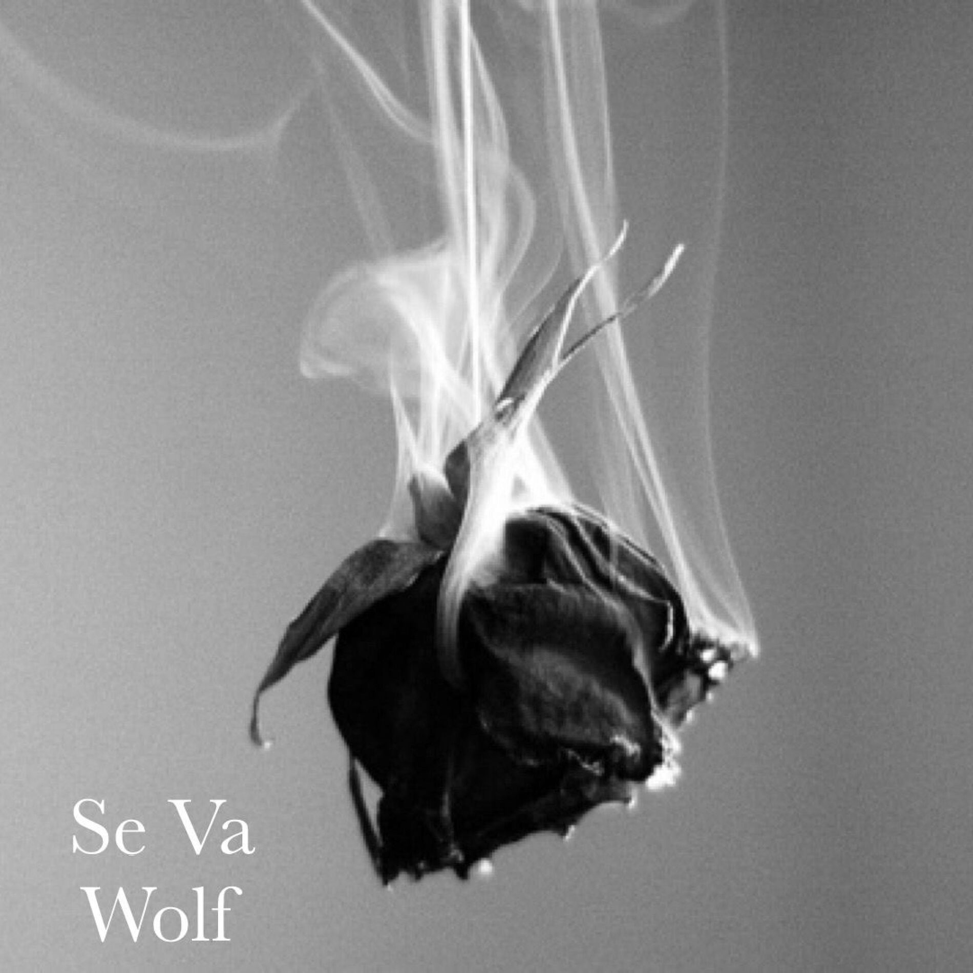 Album cover of Se Va