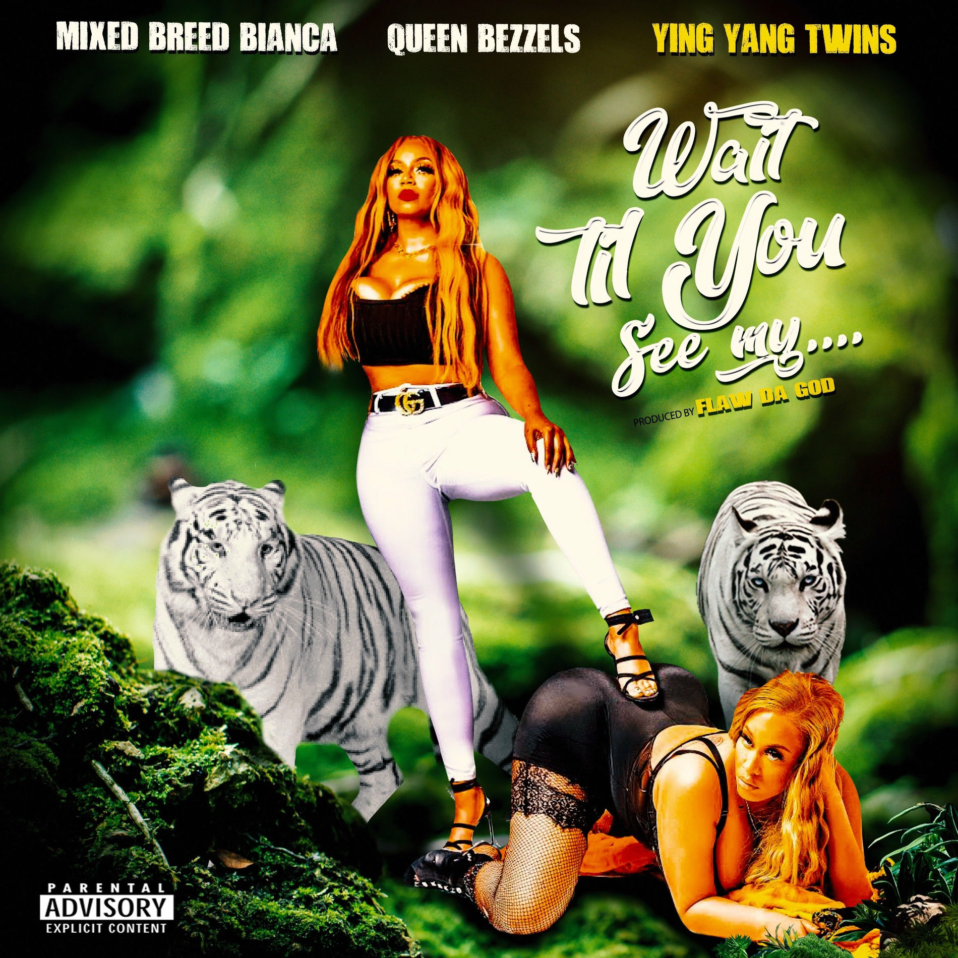 Album cover of Wait Til You See My
