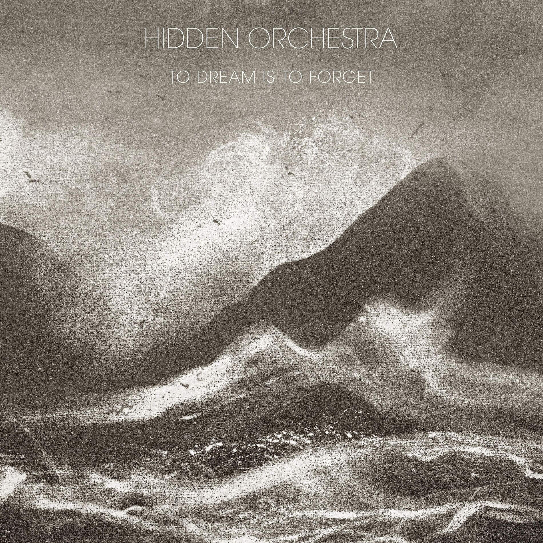 Album cover of To Dream is to Forget
